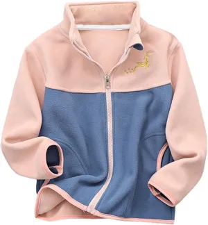 Boys Winter Jackets Coats Kids Boys Thick Cotton Padded Sports Jacket Sweatshirt Fleece Winter Coat (Pink, 4-5 Years)
