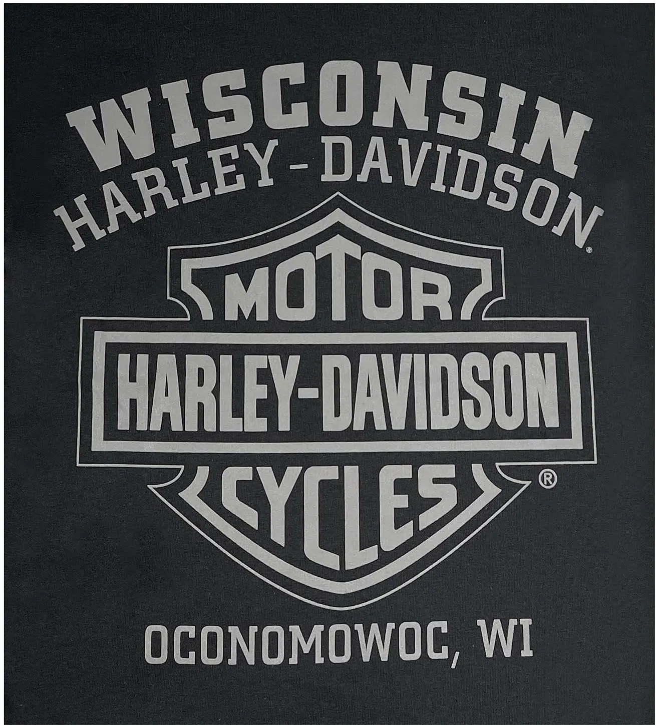 Harley-Davidson Men's Ghoulish Skull Crew-Neck Short Sleeve T-Shirt - Black