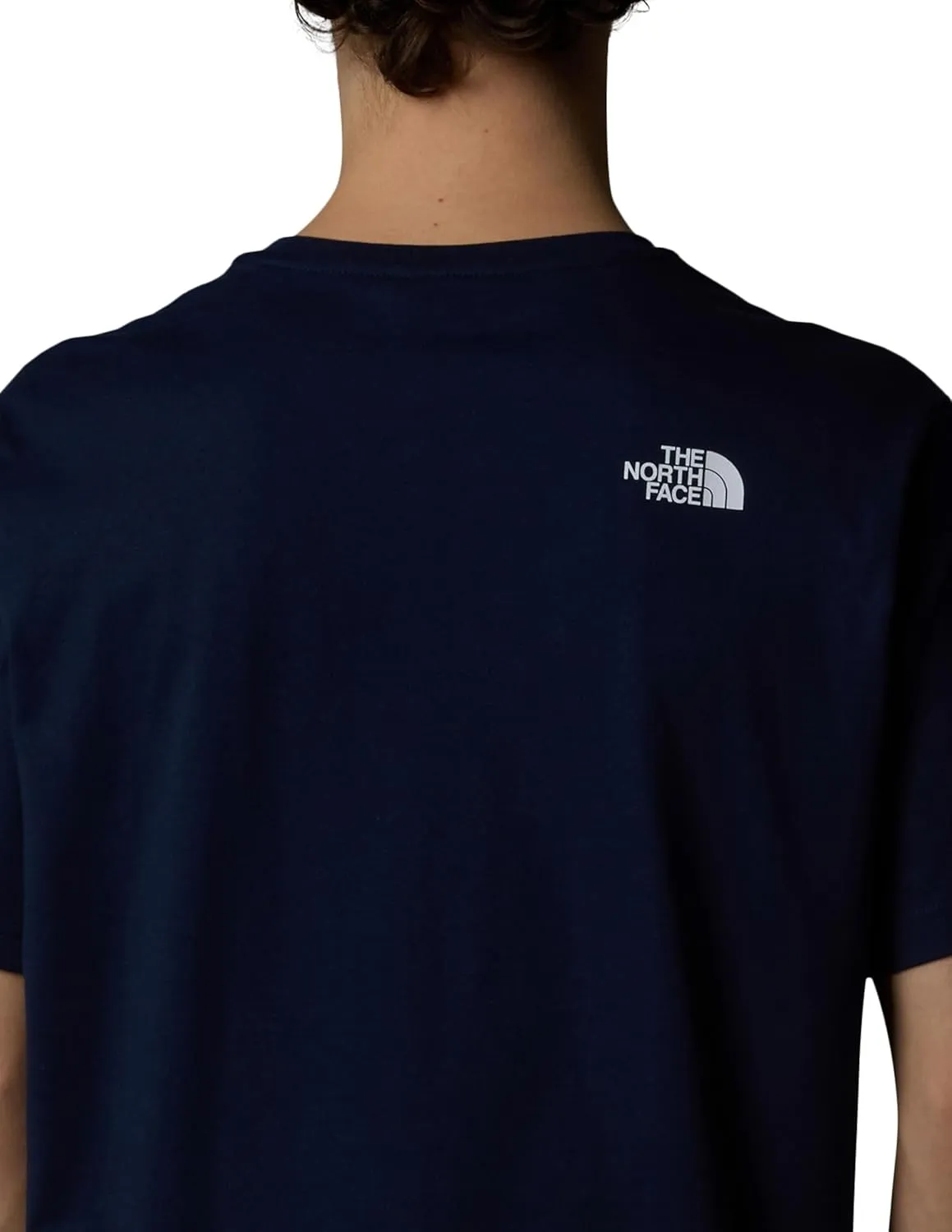 THE NORTH FACE Men's Biner 1 Graphic Tee